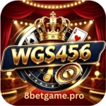 WGS456 Game