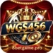 WGS456 Game