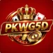 PKWG5D Game