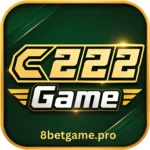 C222 Game